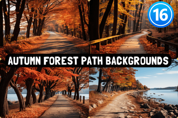 Embrace Autumnal Splendor: The Autumn Forest Path Background
